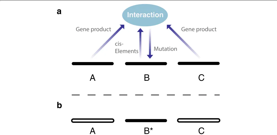 Figure 1 Mutation as a biological process. a) Mutation as a biological process means that genes interact in the determination of mutation