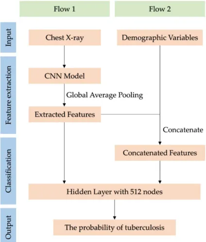 Figure 2.  Flowchart of tuberculosis classification using the convolutional neural network (CNN)  model