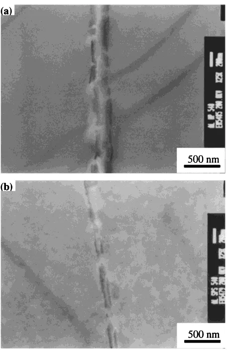 Fig. 10The oxide layer of the specimen which was sintered by (a) the hotpressing method and (b) the pulsed current pressure sintering method at813 K for 600 s under a load of 40 MPa.