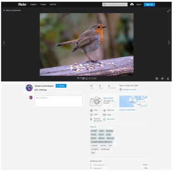 Figure 3.1: Flickr photographs