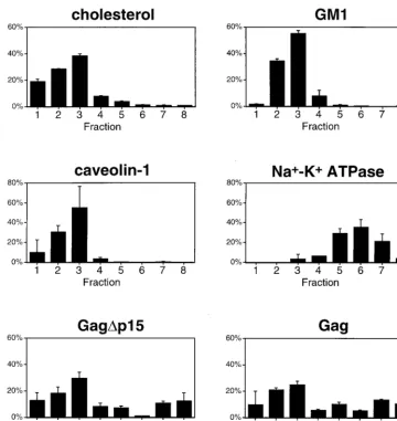 FIG. 6. Characterization of eight-fraction Optiprep gradients in the absence of detergent