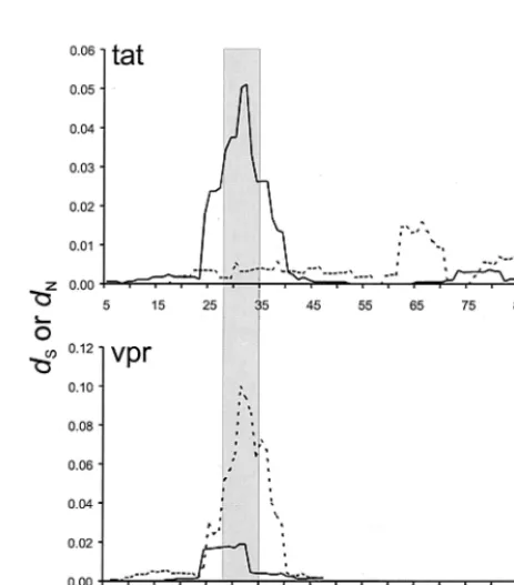 FIG. 1. Schematic map of the SIV genome, showing the nine proteins encoded.