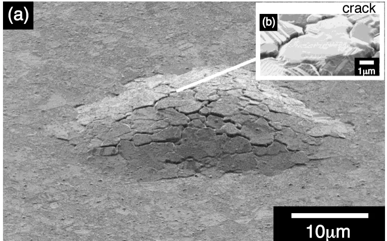Fig. 4(a) SIM images of a Si/Si3N4(100 nm)/PVD-Cu(1500 nm)/PVD-CuO(100 nm)/PVD-Cu(500 nm) sample which was annealed at 400◦C for10 min in 5% H2/N2 mixed gas atmosphere: (a) a 60◦Z tilted plan-viewimage and (b) a cross-sectional image.