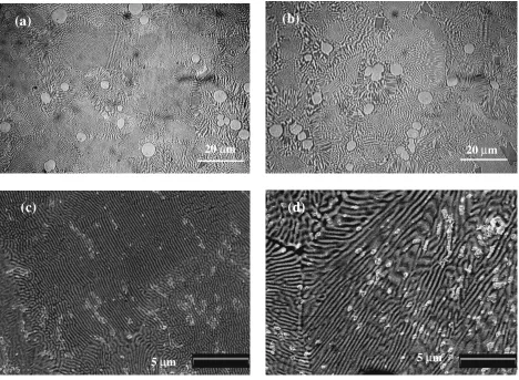 Fig. 1Cross-sectional images showing the lamellar eutectic microstructure at different positions of a copper mould cast 3 mm diameterrod: (a) Optical micrographs at the bottom and (b) at the top of the rod; (c) SEM micrograph at the bottom and (d) at the top of therod.