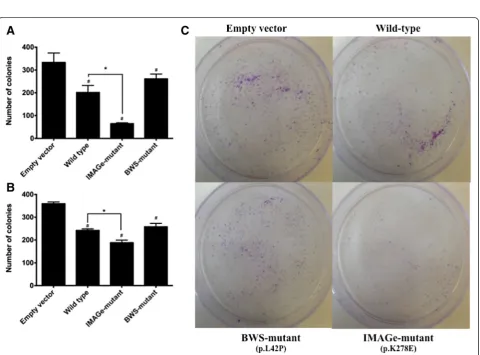 Figure 3 IMAGe-mutants have decreased progression through S-phase after synchronization in S-phase