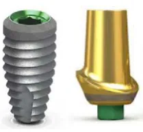 Figure 1. BioHorizons internal hexagon fixture and abutment