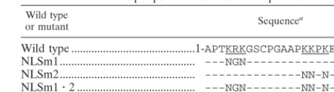 TABLE 1. Multiple-point mutants of the Vp1 N terminus