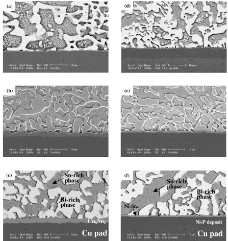 Fig. 1SEM micrographs of the interface between Sn–58Bi solder and Cu substrate (a)-(c), Sn–58Bi solder and electroless Ni–P/Cusubstrate (d)-(f): as-soldered (a), (d) and after aging at 100◦C for 30days (b), (e) and 60days (c), (f).