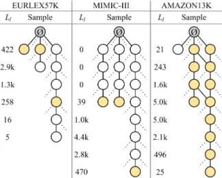 Figure 1: Examples from LMTC label hierarchies. ∅ is the root label. L l is the number of labels per level