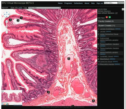 Figure 1 Virtual Microscope slide viewing screen.