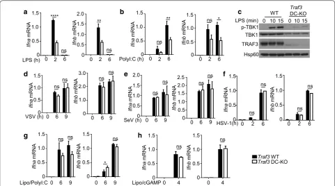 Fig. 3 Stimulus‑specific function of TRAF3 in regulating type I IFN induction in BMDCs