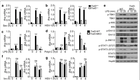 Fig. 5 Stimulus‑specific function of TRAF2 in regulating type I IFN induction in DCs. three independent experiments, and statistical analyses are presented as mean a, b qRT‑PCR analysis of Ifna and Ifnb mRNA expression in WT and Traf2DC‑KO BMDCs stimulated