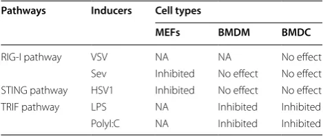 Table 1 Cell-type specific effect of  TRAF3 deficiency on type I IFN induction