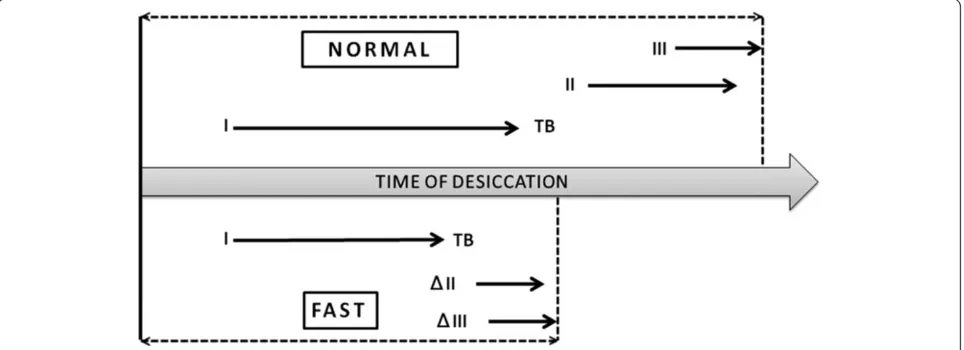 Figure 9 Diagram representing the stepwise appearance of the morphological domains of a normal tear microdesiccate and itsprobable modification in patients with evaporative Dry Eye