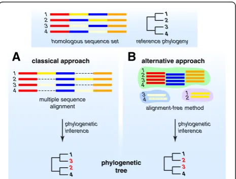 Figure 1 Simplified workflow of phylogenomic approaches.another) are shown in the same colour (red, blue, yellow andorange regions in each sequence)
