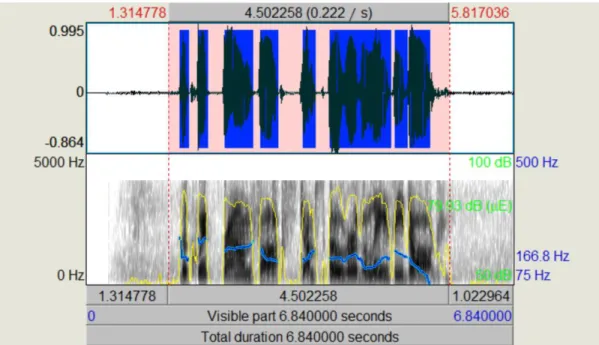Figure 3: Praat GUI Analysis 