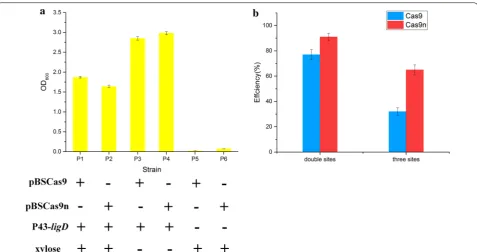 Fig. 6 Strategy for improving CRISPR-Cas9/Cas9n mediated gene editing by regulating ligD