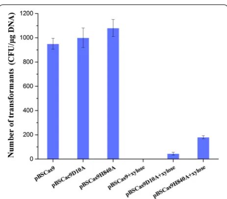 Fig. 1 Transformation efficiency of different plasmids for CRISPR-Cas9/Cas9n-mediated gene editing