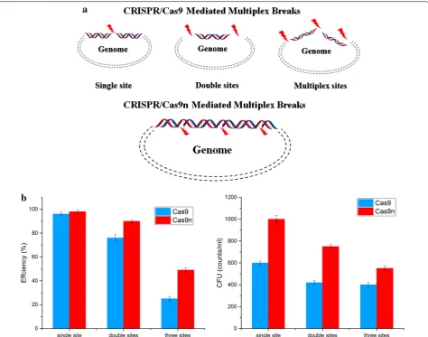 Fig. 4 Strategy for CRISPR-Cas9/Cas9n mediated multiplex point mutations. a Assumed mechanism of CRISPR-Cas9/Cas9n mediated multiplex breaks