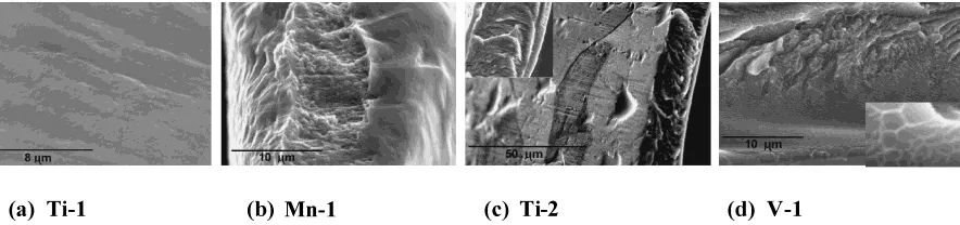 Fig. 10Secondary electron SEM image of the fracture surfaces of the tensile tested as melt-spun alloys