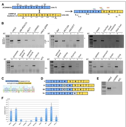 Figure 1 Detection ofRNA. Blue and yellow boxes indicate exons fromarrowheads indicate minor alternative chimeric transcripts (i-iv).reads from the ENCODE HMEC RNA-seq data