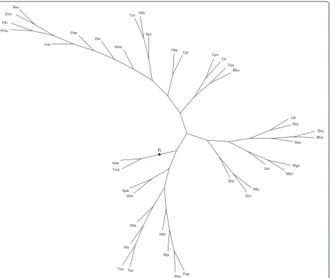 Figure 7 The artificial species tree S* used to simulate sets {Gj} of gene trees (40 species)
