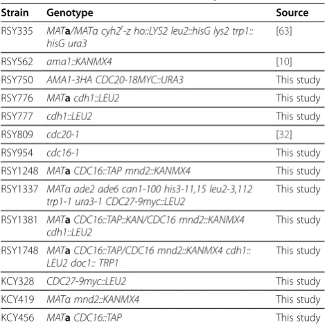Table 1 Yeast strains used in this study