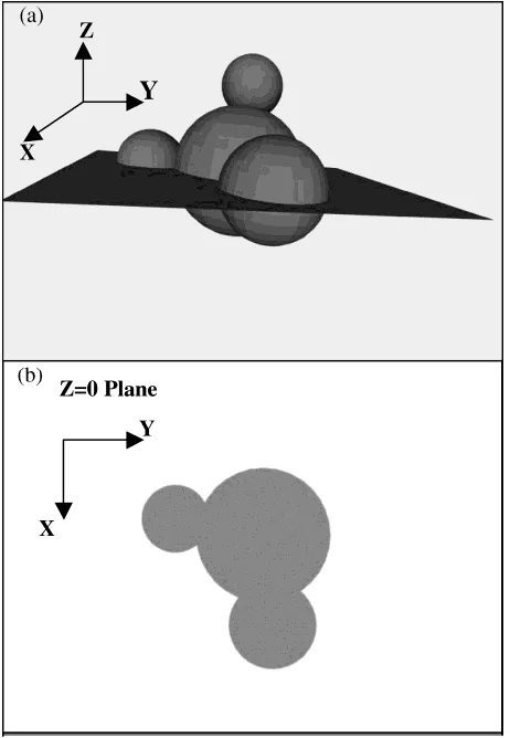 Fig. 4Sketch of contacts per particle in (a) a three-dimensional space and(b) a two-dimensional cross section.