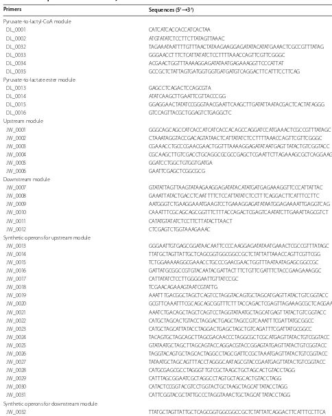 Table 3 A list of primers used in this study