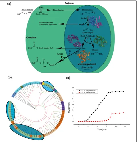 Figure 1 Ethanolamine utilization in Vibrio spp. a)respective locations in the pathway