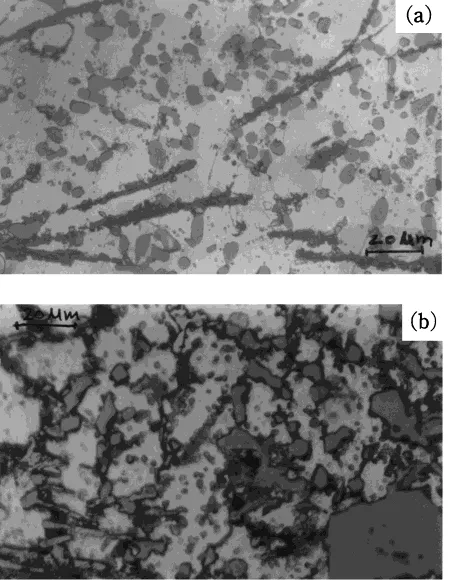 Fig. 10Optical microphotograph in heat-treated condition of LM13 alloy(a) and LM28 alloy (b) respectively.