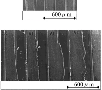 Fig. 3SEM images of the surfaces of Al electrodes before (a) and after (b) a thermal fatigue test.
