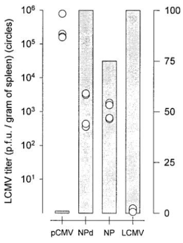 FIG. 1. Deletion of the dominant CTL epitope has minimal effecton vaccine efﬁcacy. BALB/c mice (eight per group) were immunized as