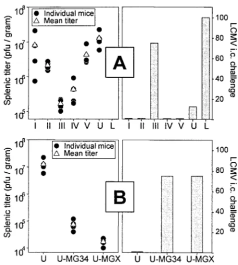 FIG. 3. Sequence X protects against two modes of virus challenge.(A) BALB/c mice (12 mice per group) were immunized with plasmids