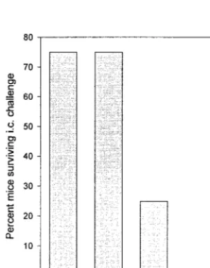 FIG. 7. Induction of X- and WX-speciﬁc responses by LCMV infection and DNA immunization