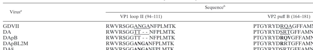 TABLE 1. VP1 loop II and VP2 puff B
