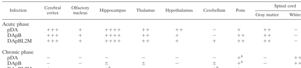 TABLE 2. Acute- and chronic-phase neuropathology in pDA, DApB, or DApBL2M virus infectiona