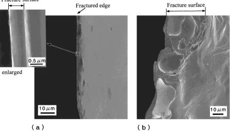 Fig. 6SEM micrographs of the surface of Pt60Ni15P25 metallic glass ribbons deformed in tension at 523 K after preheating of (a)523 K–10 min and (b) 543 K–4 min