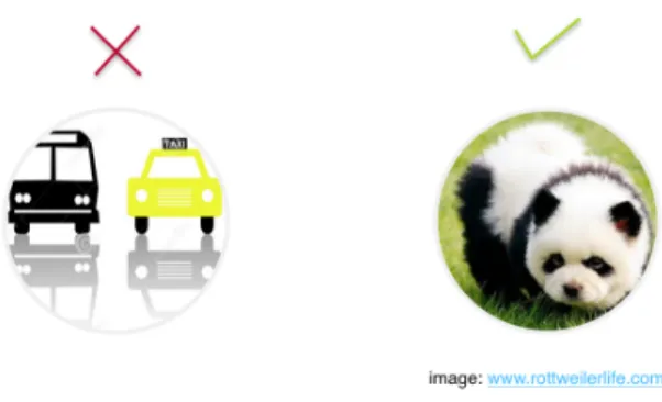 Figure 1.1. An example telling whether a classification case belongs to fine-grained classification.