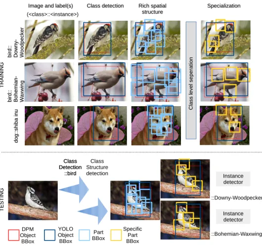 Figure 1.2. We extend the popular DCNN methodology by defining “latent sub-tasks” which im- im-prove the deep fined-grained classification performance