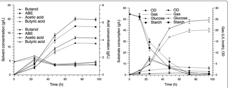 Fig. 1 ABE fermentation with free (dashed lines) and immobilized (solid lines) cells