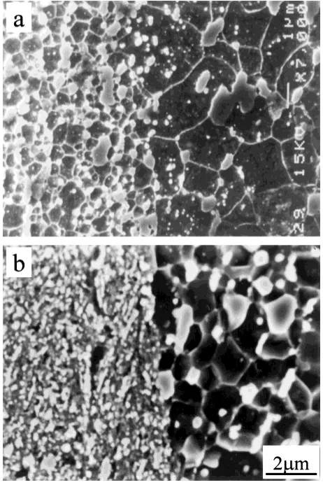 Fig. 7Annealed (873 K for 3.6 ks) microstructures of the samples withspheroidite structure after deformation (a) 50 times of ball drops (5 kg,1 m) and (b) Fe–0.89C ball milled for 360 ks.
