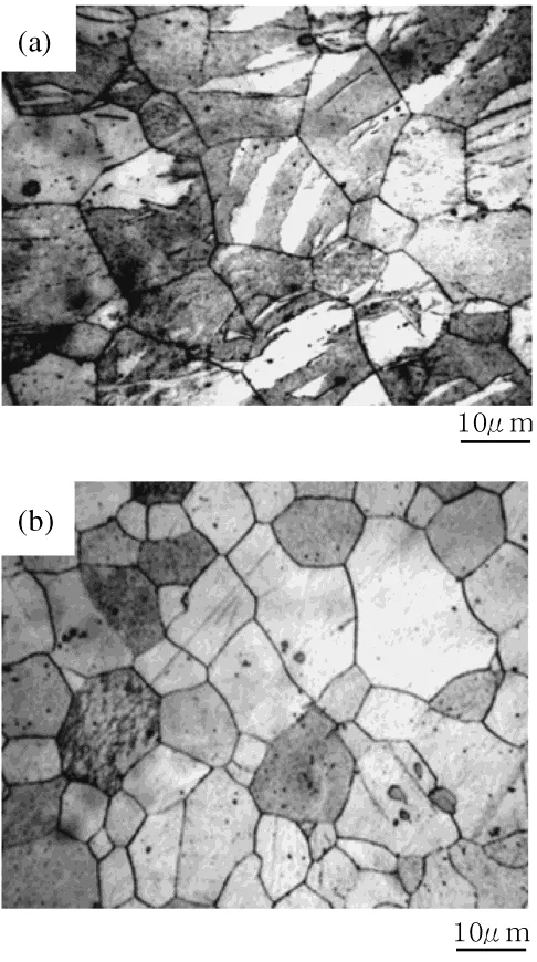 Fig. 10Microstructures of the specimens formed by the conical cup tests,where (a) the annealed specimen processed by single roller drive rolling at673 K and (b) the annealed specimen processed by normal rolling at 673 K.