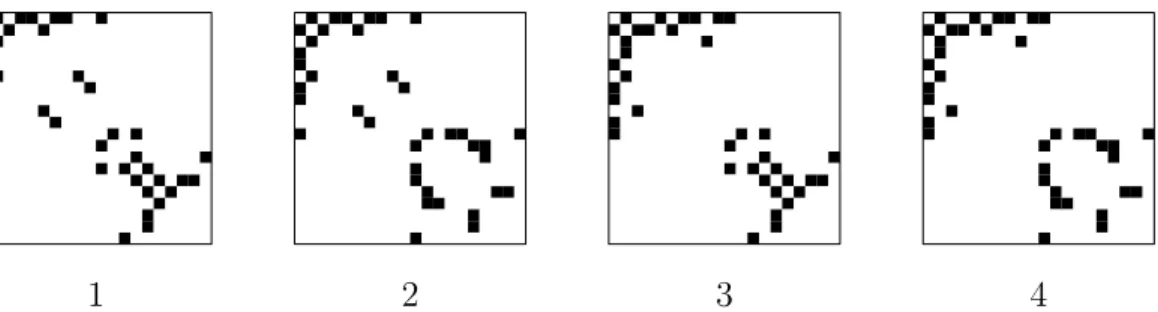 Figure 3.1: Image plots of the adjacency matrices for all four graphical models. The black color represents presence of an edge