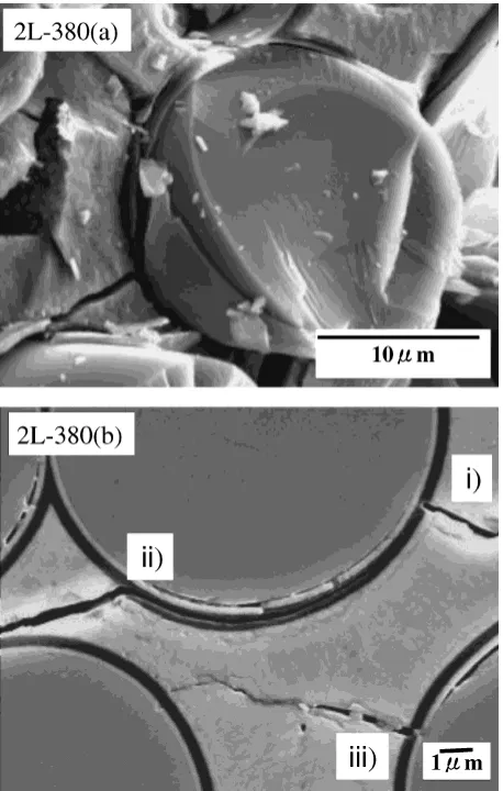 Fig. 7First PyC layer thickness dependence of the PLS and UFS of theHi-Nicalon/SiC composites.