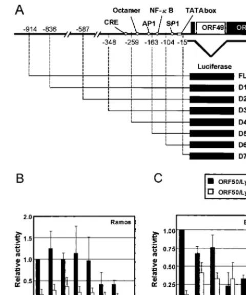 Fig. 2A).