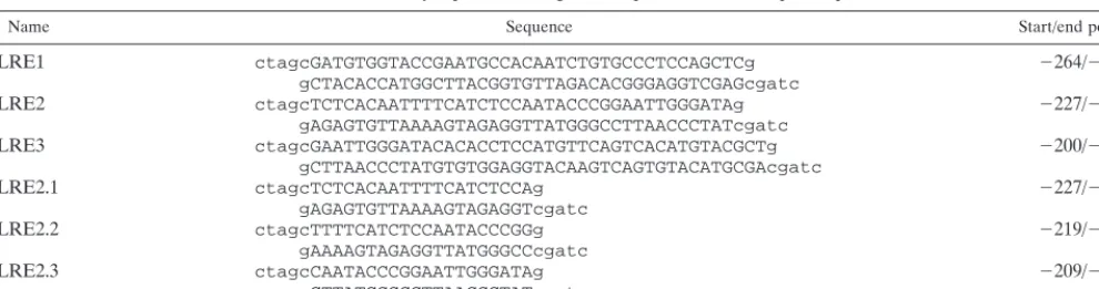 TABLE 1. ORF50/Lyta promoter fragment sequence used for reporter plasmid