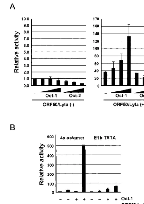 FIG. 4. Effect of mutating the octamer-binding sequence on ORF50/Lyta transactivation