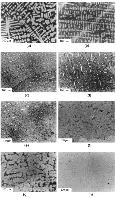 Fig. 1Typical optical micrographies of the alloys composed of, (a) 5 mass%Mn, (b) 10 mass%Mn, (c) 15 mass%Mn, (d) 20 mass%Mn,(e) 25 mass%Mn, (f) 30 mass%Mn, (g) 35 mass%Mn and (h) 40 mass% Mn, respectively.
