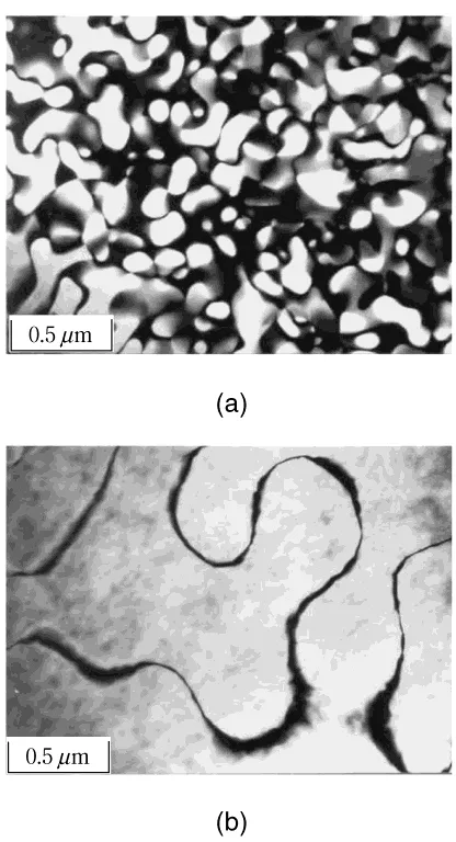 Fig. 7(a) g = 111 dark ﬁeld, and (b) g = 200 dark ﬁeld electron micro-graph taken with the D03 phase.
